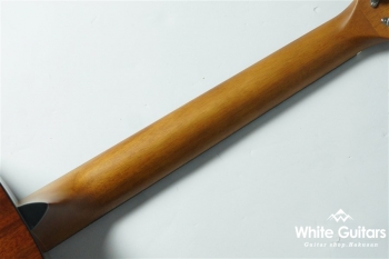 F-020 - Red brown Sunburst